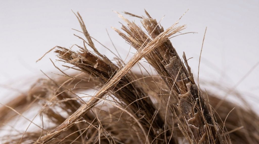 cheveux-cassants-que-faire-2025.png