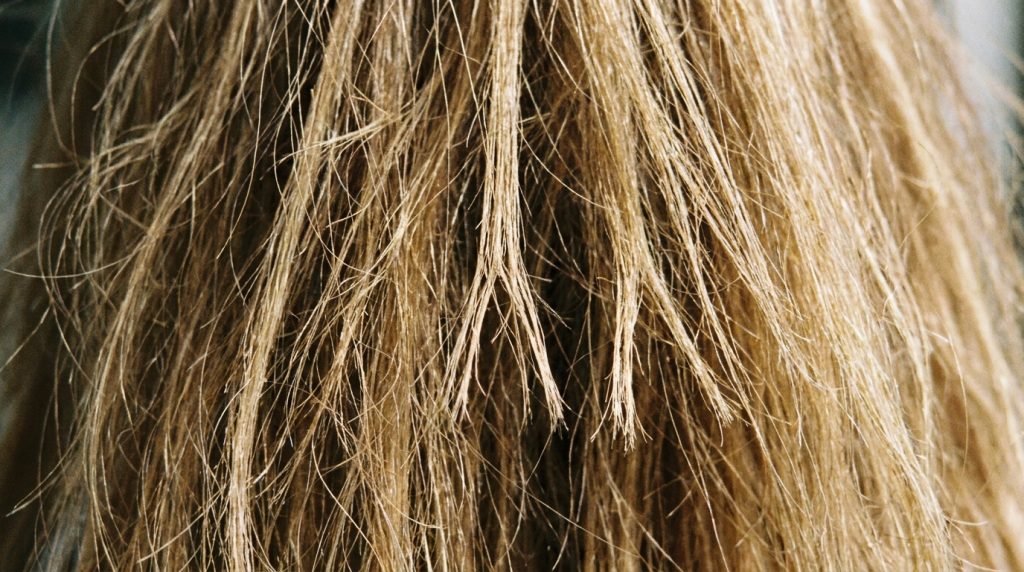 soin-cheveux-abimes-professionnel-2025.png